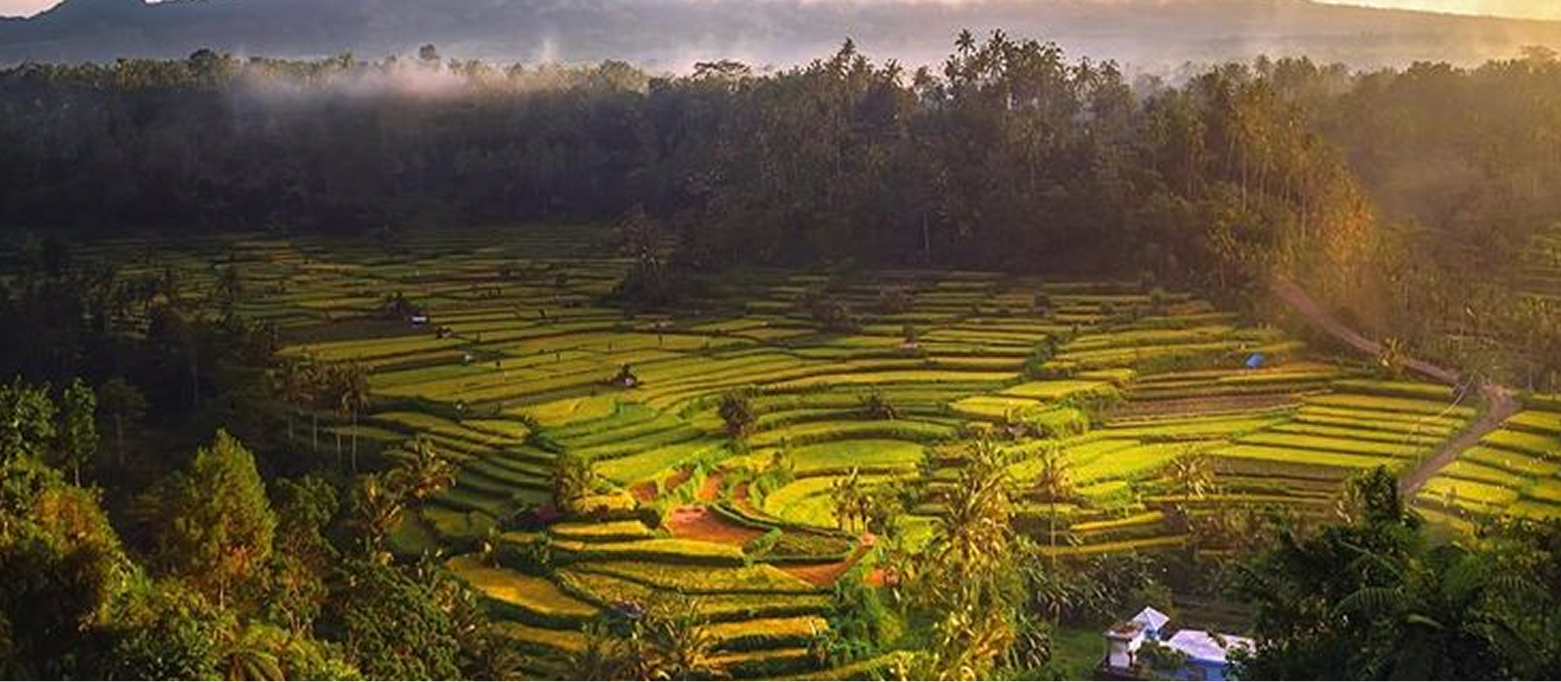 Background Bali