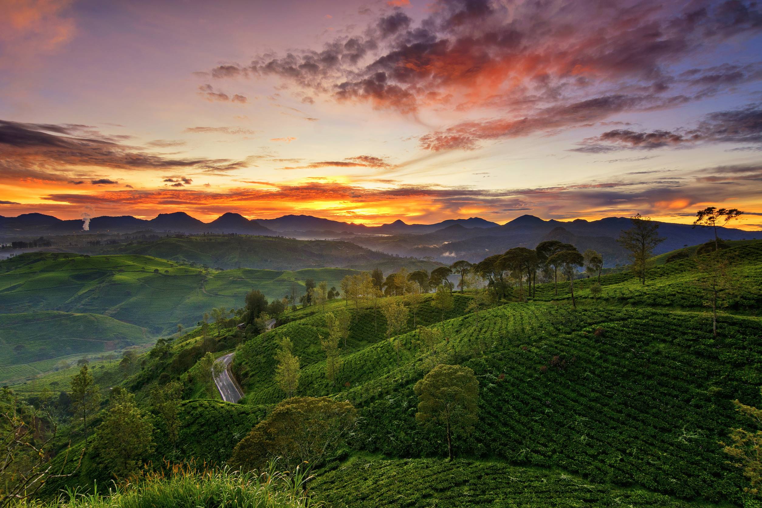 Sunrise Point Cukul